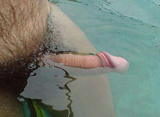 Floating Cock