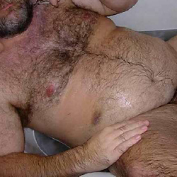 nude old men, gay daddies and bears